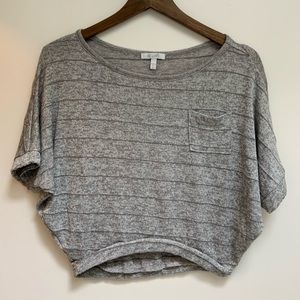 Delia’s Gray Striped Short Sleeve Crop Top Size XS
